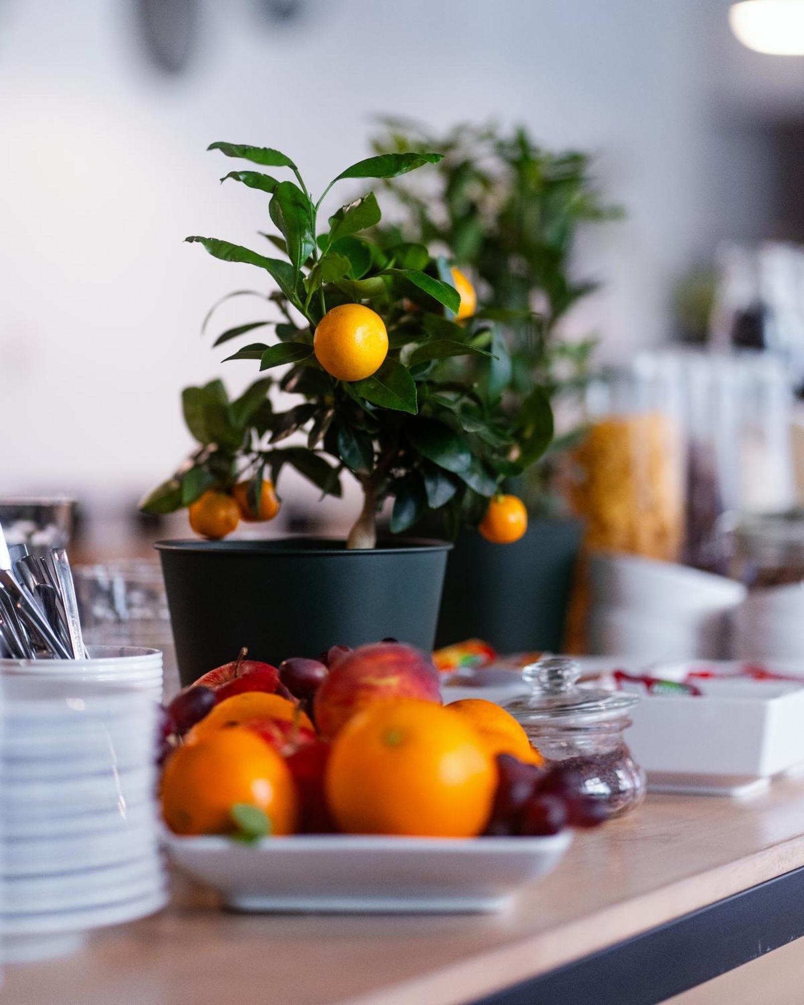 City Center Rooms Piotrkowska 91 Lodz  Ngoại thất bức ảnh